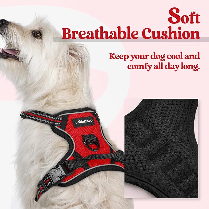 rabbitgoo Dog Harness, No Pull for Small Dogs with 2 Leash Clips, Pet Vest | No Choke, Adjustable, Breathable Padded, 2 Lead Rings, Reflective, Easy Control for Walking Training, XS, Red - Image 2