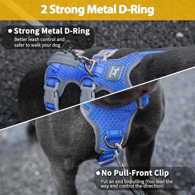 Escape Proof Dog Harness, Secure Dog Harness No Escape, Fully Reflective Harness with Handle,Breathable,Durable, Adjustable Vest for Small Dogs Walking, Training,and Running Gear (Sea Blue,S) - Image 4