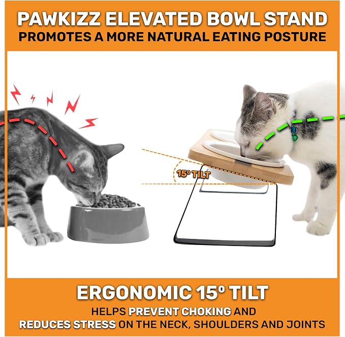 Elevated Cat Bowl Stand for Food and Water – Anti-Vomit Raised Feeding Station with Tilted Stand – Removable Round Ceramic Bowls, Anti Slip Bamboo Base, Dishes for Cats, Kitten, Small Dogs & Puppies - Image 2