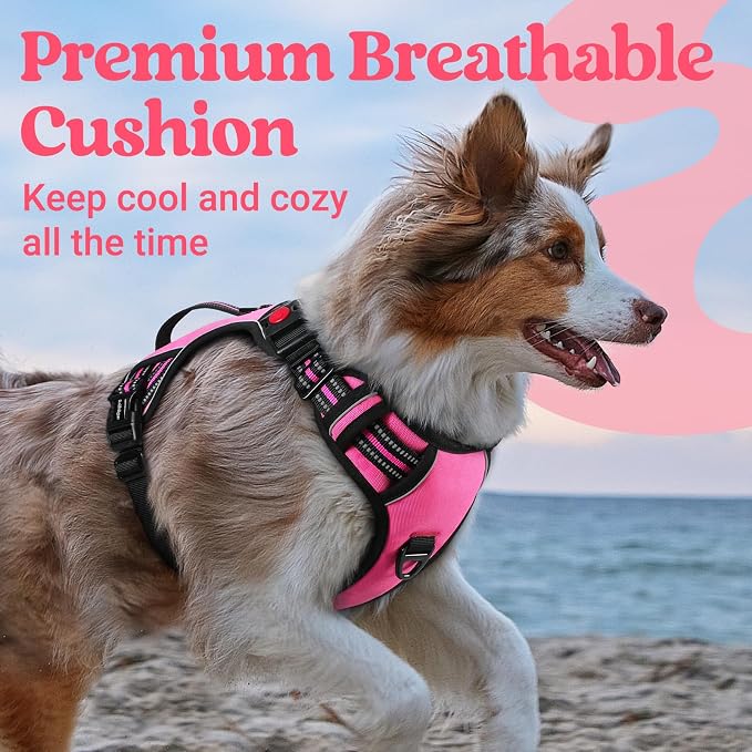 rabbitgoo Large Dog Harness, Easy Wear with 3 Buckles and Lift Handle | No Pull with Front Clip for Walking, Adjustable Soft Padded, Reflective, Easy Control, Pink, Medium - Image 7