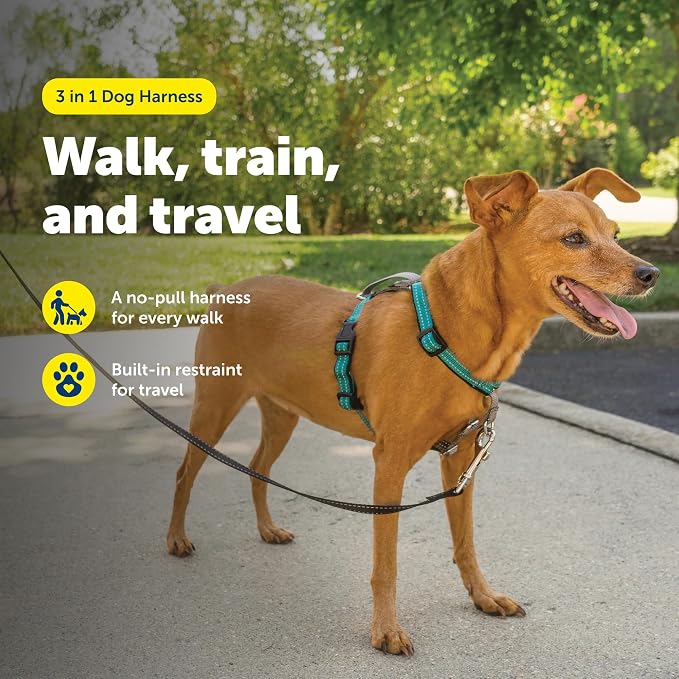 PetSafe Easy Walk 3 in 1 No Pull Dog Harness, Teal, Extra Small | Rests on Chest Not Throat to Reduce Pulling, 5 Adjustment Points, Car Restraint Seatbelt Loop, Reflective Nylon for Low Light - Image 2