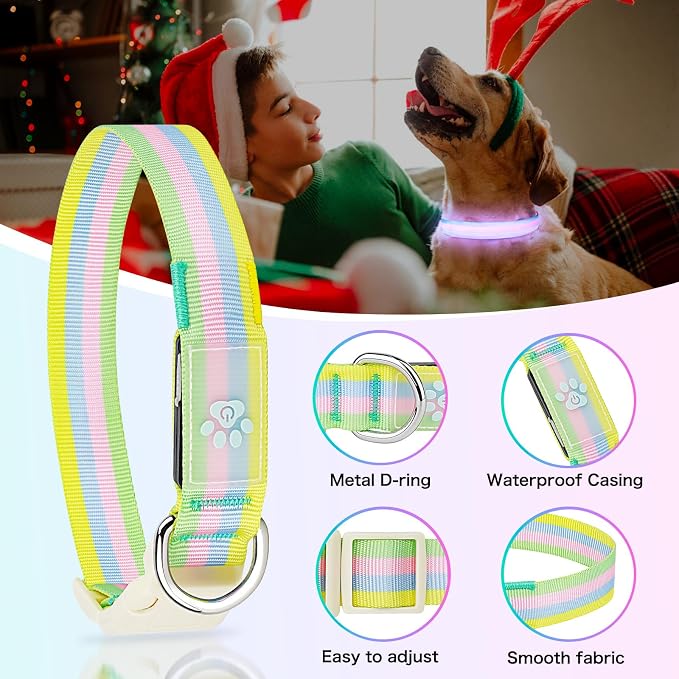 Light Up Dog Collar, Rechargeable LED Dog Collar, Color Changing Dog Collar for Night Walking, Adjustable Lighted Dog Collar for Small Medium Large Dogs, Multicolor Stripe, USB Rechargeable (M) - Image 6