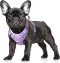 BARKBAY No Pull Dog Harness Large Reflective Dog Harness with Front Clip and Easy Control Handle for Walking Training Running with ID tag Pocket(Lavender Sky,S) by BARKBAY