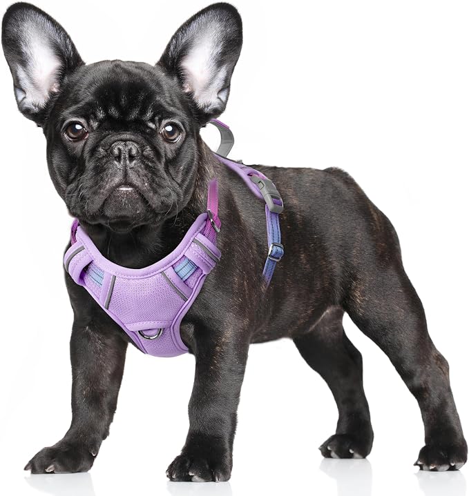 BARKBAY No Pull Dog Harness Large Reflective Dog Harness with Front Clip and Easy Control Handle for Walking Training Running with ID tag Pocket(Lavender Sky,S) by BARKBAY