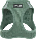 Voyager Step-in Air Dog Vest Harness - Moss Green, Large | 18- 20.5" in Chest, Reflective Bands, All Weather Breathable Air Mesh, Cats Compatible, Lightweight, Fast Drying by BestPetSuppliesLLC