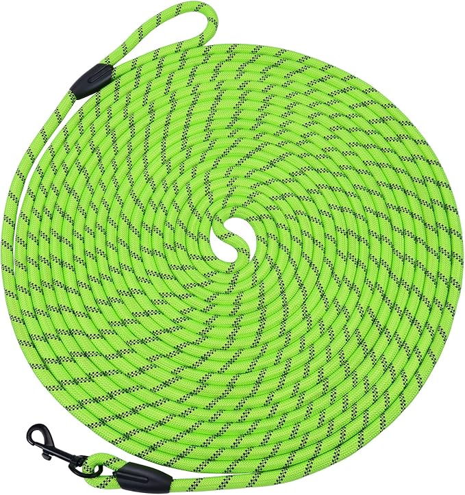 Long Dog Leash for Training 20Ft-Reflective Nylon Rope with Swivel Hook-Recall Agility Lead for Large Small Medium Dogs Outside Walking Hiking-Green by HiKiss