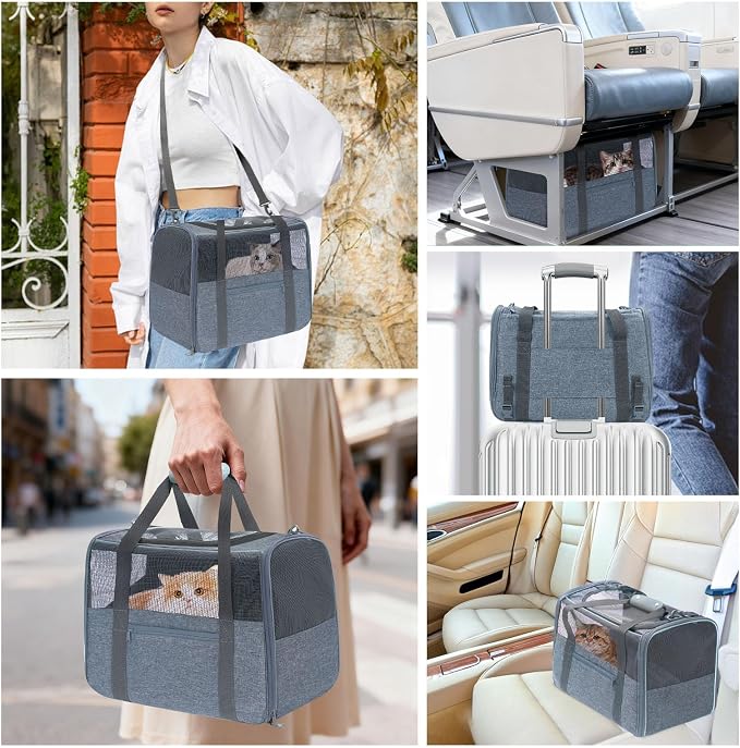 JUNGYOUN Premium ​Cat Carrier - ​Pet Carrier for Cat & Small Dogs up to 15lbs - ​Airline Approved Travel Dog Carrier with Anti-Escape Zippers, Collapsible Travel Bowl & Padded Strap - Image 3