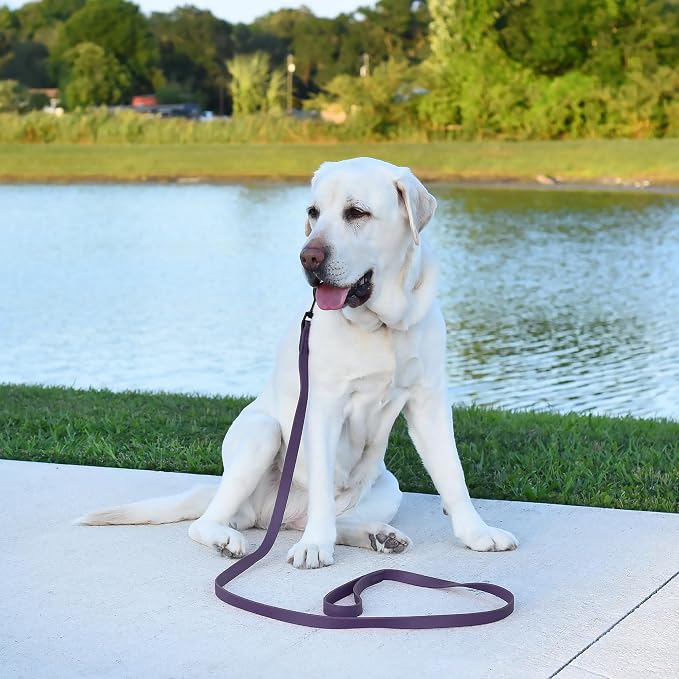 Dogline Biothane Waterproof Dog Leash Strong Coated Nylon Webbing with Black Hardware Odor-Proof Easy to Clean High Performance for Small or Large Dogs Made in USA 4 or 6 ft Lead, Violet Purple - Image 5