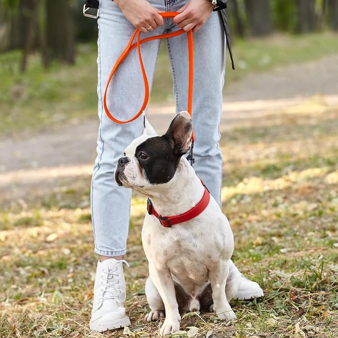 Dogline Biothane Waterproof Dog Leash Strong Coated Nylon Webbing with Black Hardware Odor-Proof Easy to Clean High Performance for Small or Large Dogs Made in USA 4 or 6 ft Lead, Hunter Orange - Image 7