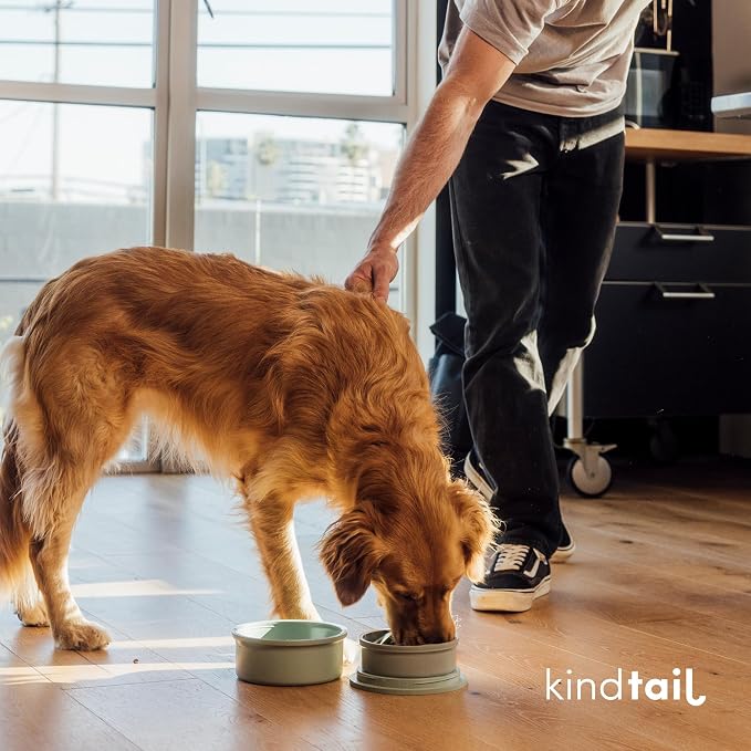 Dog Travel Bowls - Set of 2 Portable Pet Food & Water Dishes with Lid & Handle - Each Nesting Container Includes a Non-Slip Silicone Base - Microwave & Dishwasher Safe - BPA & Toxin-Free - Image 8