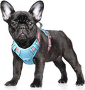 BARKBAY No Pull Dog Harness Large Reflective Dog Harness with Front Clip and Easy Control Handle for Walking Training Running with ID tag Pocket(Baby Blue & Baby Pink,S) by BARKBAY