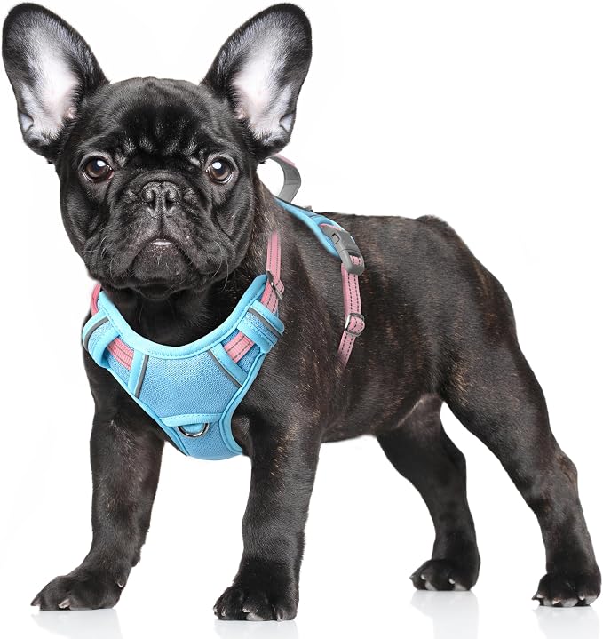 BARKBAY No Pull Dog Harness Large Reflective Dog Harness with Front Clip and Easy Control Handle for Walking Training Running with ID tag Pocket(Baby Blue & Baby Pink,S) by BARKBAY