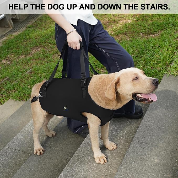 Coodeo Dog Lift Harness, Pet Support & Rehabilitation Sling Lift Adjustable Padded Breathable Straps for Old, Disabled, Joint Injuries, Arthritis, Loss of Stability Dogs Walk (Black, XL) - Image 2