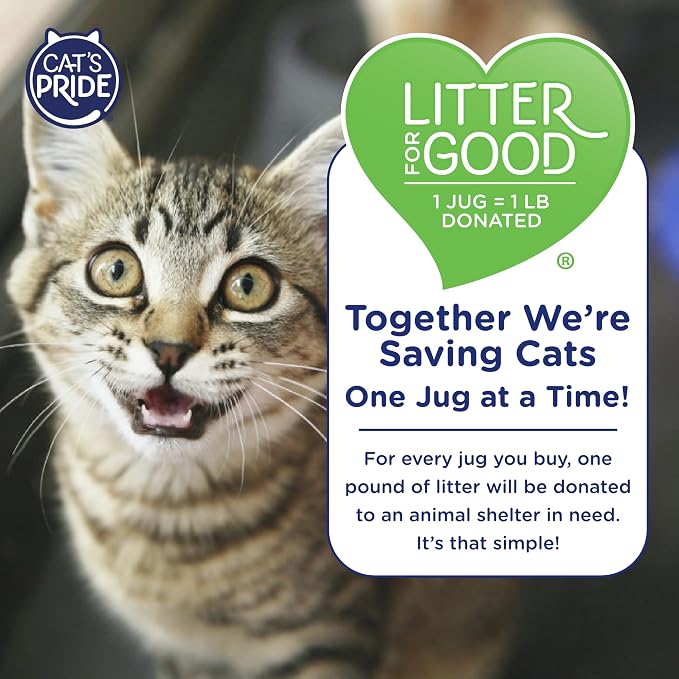 Cat's Pride Antibacterial Litter, Odor-Eliminating Lightweight Scented 12lb - Image 6