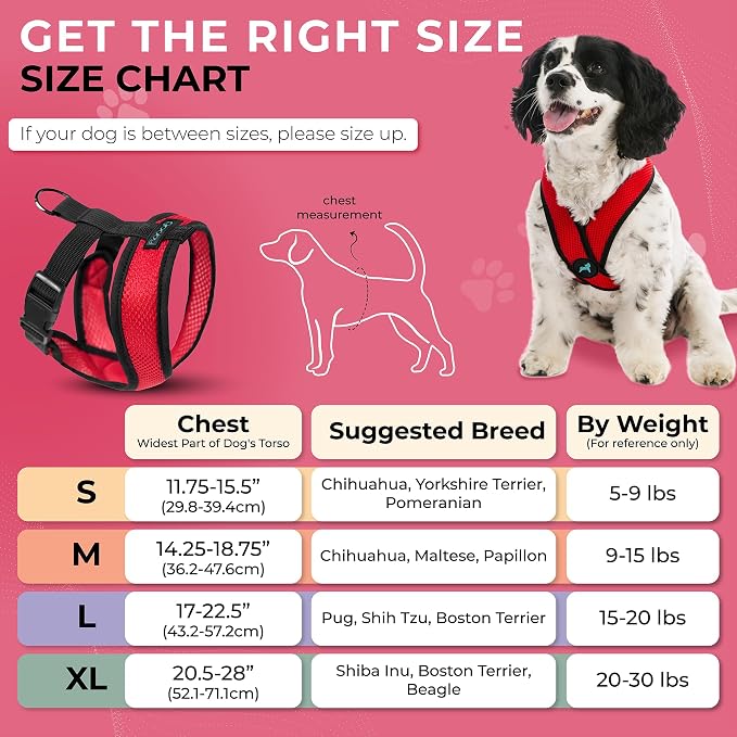 Gooby Comfort X Head-in Dog Harness, Choke-Free, Red, Large | Patented choke-free X-frame; Secure head-in fit; Lightweight breathable mesh; Back metal D-ring; Machine washable - Image 4