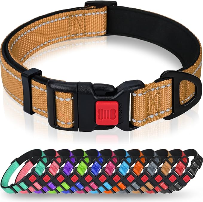 Taglory Reflective Small Dog Collar, Comfortable for Safe Night Walks, Tan | Night-Walk Visibility, Soft Neck Cushioning, Adjustable 10-16 in, Locking Buckle, D-Ring for Leash and ID Tags by Taglory