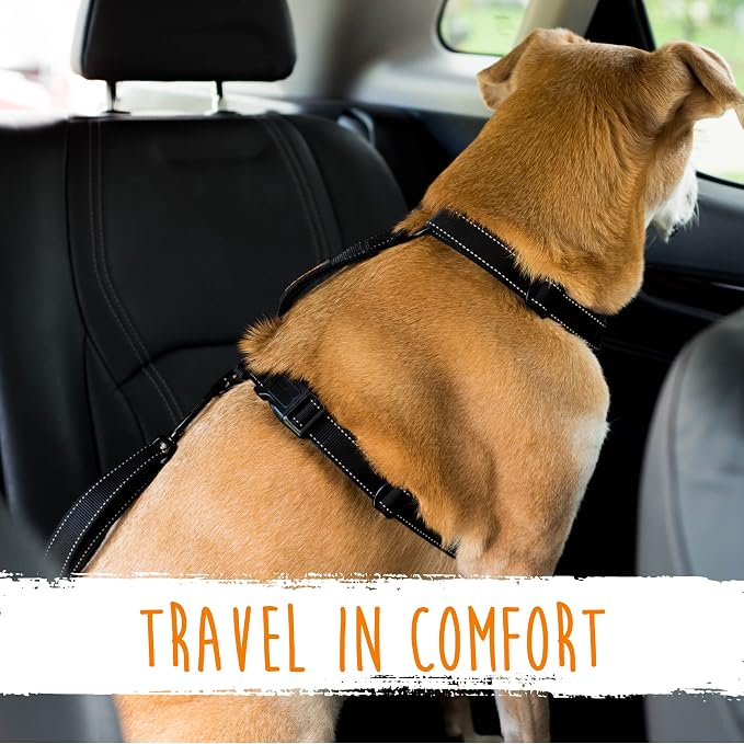 Mighty Paw Dog Seat Belt For Car - LATCH Compatible Adjustable Dog Seatbelt Harness for Small, Medium and Large Pets. Distraction Free Driving, Heavy-Duty Design with Aviation Grade Aluminum Carabiner - Image 9