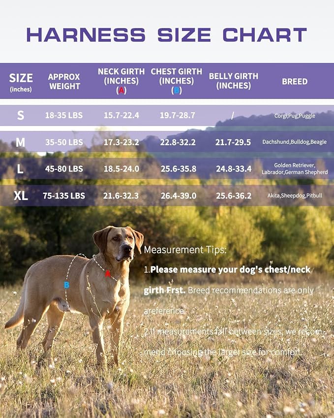 Dog Harness Medium Sized Dog, No Pull Dog Vest with Molle System | Tactical, Easy Control With Handle, Breathable Soft Padded, Adjustable, Reflective, No Choke for Walking, Purple Camo Medium - Image 7