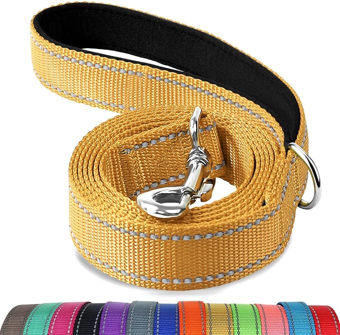 Joytale Reflective Dog Leash for Medium & Large Dogs, 6 FT x 1", Khaki | Heavy Duty Nylon Webbing, Padded Handle for Comfort, Visible at Night, for Walking & Training by Joytale