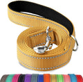 Joytale Reflective Dog Leash for Medium & Large Dogs, 6 FT x 1", Khaki | Heavy Duty Nylon Webbing, Padded Handle for Comfort, Visible at Night, for Walking & Training by Joytale