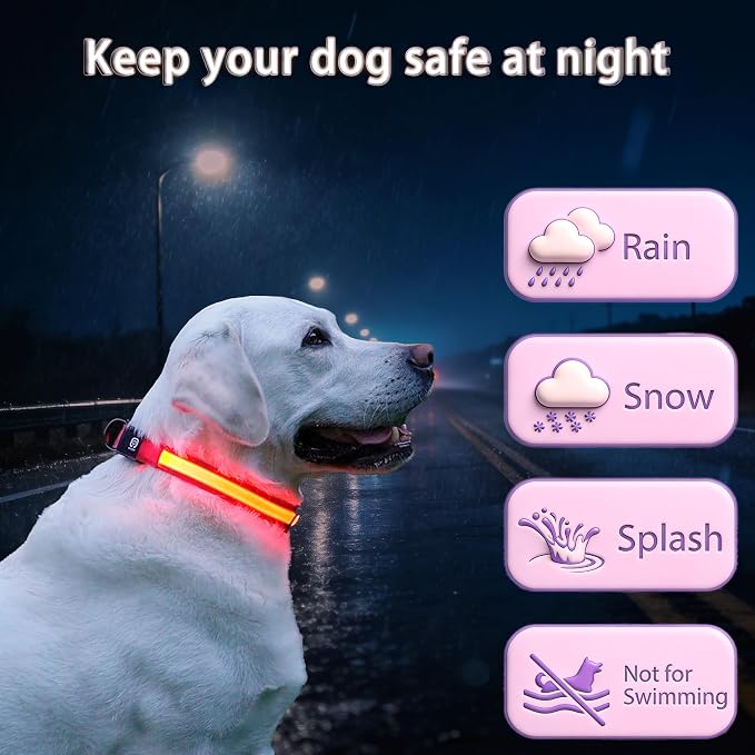 USB Rechargeable LED Dog Collar, Waterproof, Adjustable, Glowing, for Medium Dogs, Night Walking, Camping, Jogging, Red, M (Neck 15-24", Width 1") - Image 3