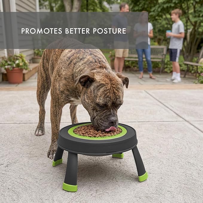 Dexas Pets Elevated Pet Feeder, Large, 4 Cup Capacity, Green, Raised Pet Food and Water Bowl - Image 8