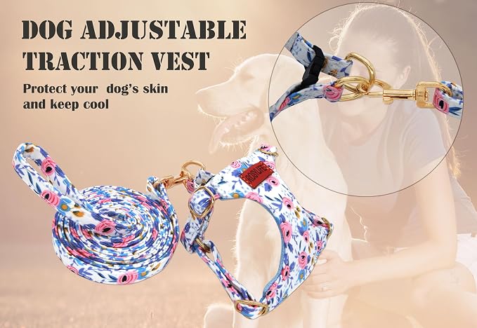 No Pull Dog Harness Adjustable Small Dog Harness and Leash Set, Lightweight and Soft Dog Harness No Choke Escape Proof Pet Harness Vest (Blue Rose, S) - Image 5