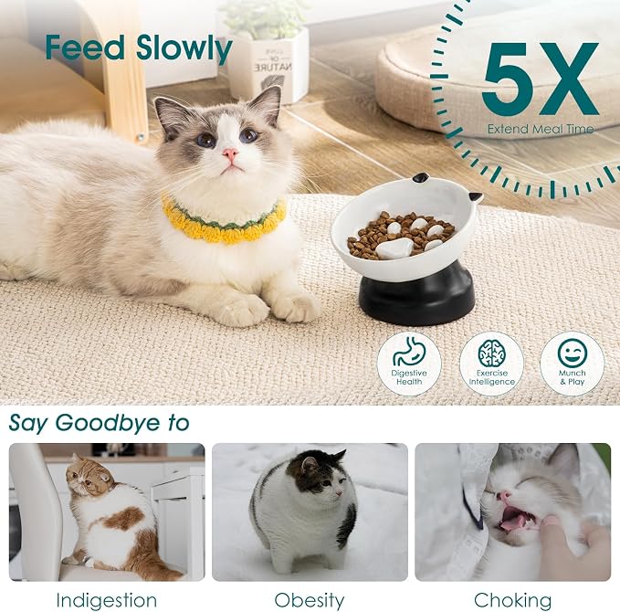 vancasso Slow Feeder Cat Bowls, Ceramic Elevated Slow Feeder Cat Bowls, Raised Food Bowl for Wet Food (Black) - Image 4