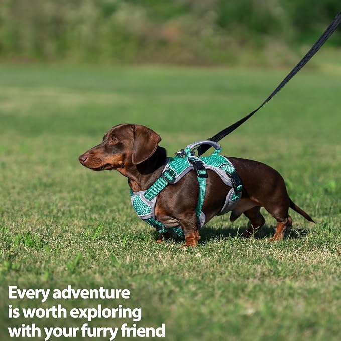 Escape Proof Dog Harness, Dachshund Harness, Reflective Dog Harness with Handle, Durable,Adjustable Vest for Small Medium Large Dogs Walking, Training, and Running Gear (Mint Green,XL) - Image 7