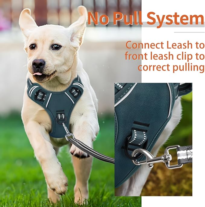 HEELE Dog Harness for Small Dogs No Pull Dog Vest Harness for Small Dog with Soft Padded Handle Reflective for Outdoor Training, Blackish Green, S | No Choke with Control Handle, Soft Breathable Padded Pet Vest, Adjustable, Reflective Front Clip Vest f... - Image 4