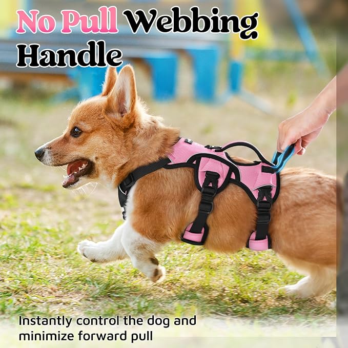 rabbitgoo Escape Proof Dog Harness for Small, No Pull with Lift Handle | No Escape, Full Soft Padded, Reflective Adjustable Vest, Leash Clip for Walking Hiking Training, Pink, Small - Image 4