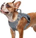 rabbitgoo Tactical Dog Harness for Small Dogs, No Pull Service Pet Vest | Military Molle System & Easy Control Handle, Adjustable and Reflective for Walking and Training, Grey, Small by rabbitgoo