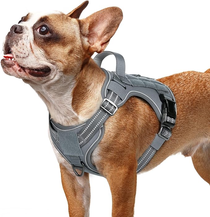 rabbitgoo Tactical Dog Harness for Small Dogs, No Pull Service Pet Vest | Military Molle System & Easy Control Handle, Adjustable and Reflective for Walking and Training, Grey, Small by rabbitgoo