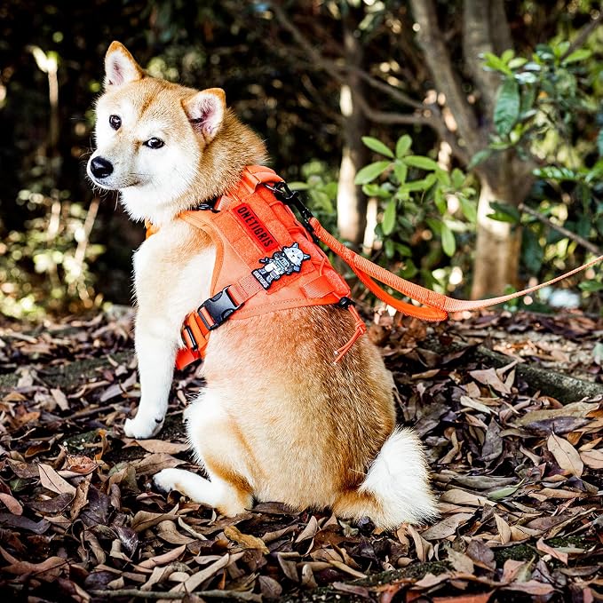 OneTigris No-Pull Dog Leash with Handle for Medium Large Dogs (Orange, 6FT) | Durable lead built for training & daily walks. Ideal drag line for strong pullers and large breeds like bully dogs. - Image 8