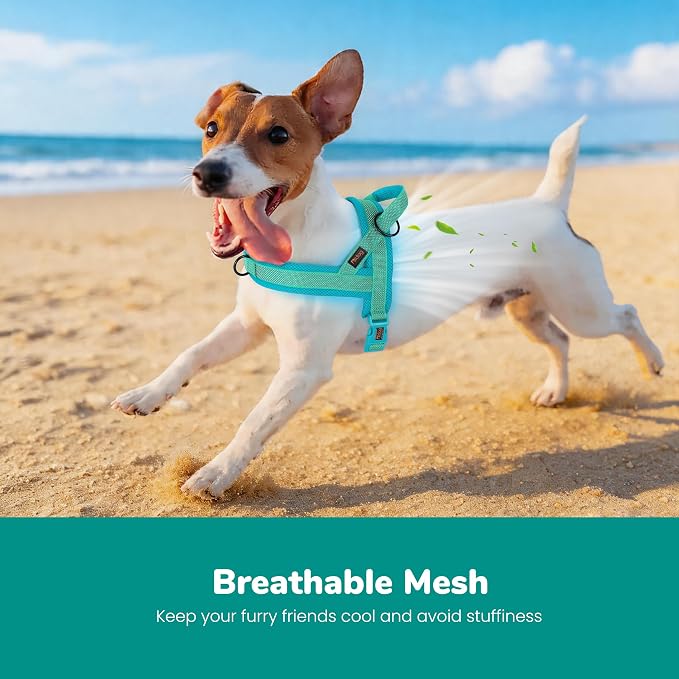 No Pull Dog Harness for Small Dogs, Breathable Mesh Padded, Green, S | Quick Fit, Easy On and Off, Adjustable, Reflective Vest Harness for Night Safty, Easy for Walking and Training, Chest 18-22" - Image 2