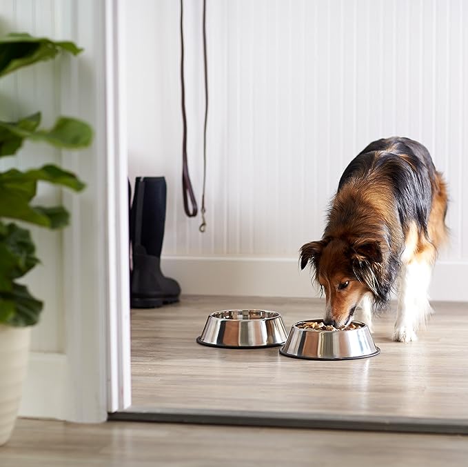 Amazon Basics Stainless Steel Non-Skid Dog Water And Food Bowls, Dishwasher Safe, Rust Resistant, 38oz Capacity, 10 x 2.8 Inches, 2-Pack - Image 5