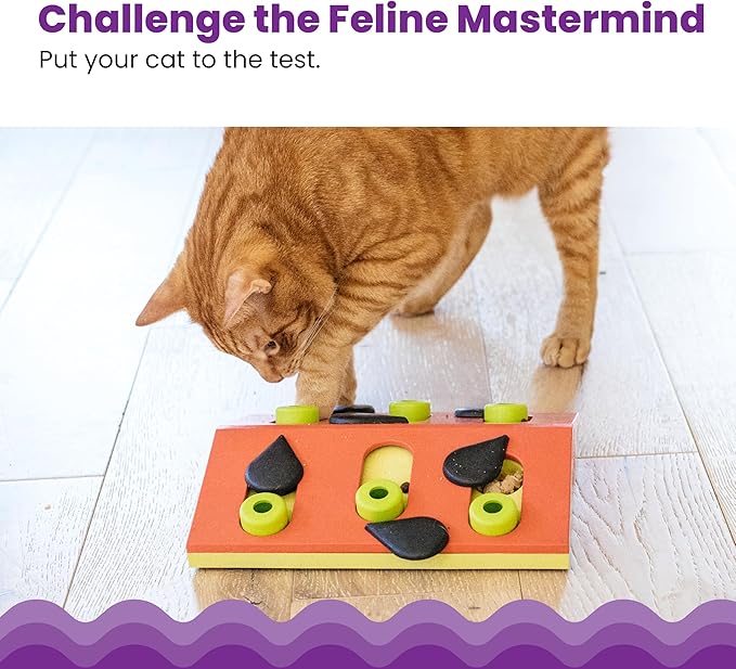 Catstages Nina Ottosson Melon Madness Puzzle & Play Cat Toy, 10.6" | Level 2 Intermediate, 12 Hidden Treat Cups, Problem Solving, Interactive Enrichment, Slow Feeder, Indoor Cats & Kittens - Image 2