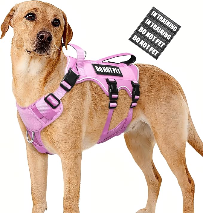 WINSEE Escape Proof Dog Harness with Double Handle+4 Removable Patches | Service Working Molle Harness with Double Handle for Large Dogs, Tactical Pet Reflective Vest for Walking Hiking Hunting by WINSEE