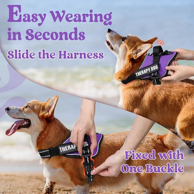 rabbitgoo No Pull No Choke Pet Vest, Adjustable Pet Harness with Molle | Medium Sized Dog Harness, Reflective, Easy Wearing with One Buckle for Walking, Training, Purple, M - Image 3