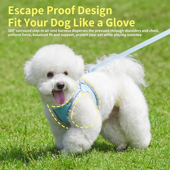 Summer Soft Dog Harness and Leash Set with Breathable Diamond Mesh | Breathable Diamond Mesh, Reflective No-Pull Pet Harness for Outdoor Walking, Training for Small Dogs, Cats Blue XXS - Image 5