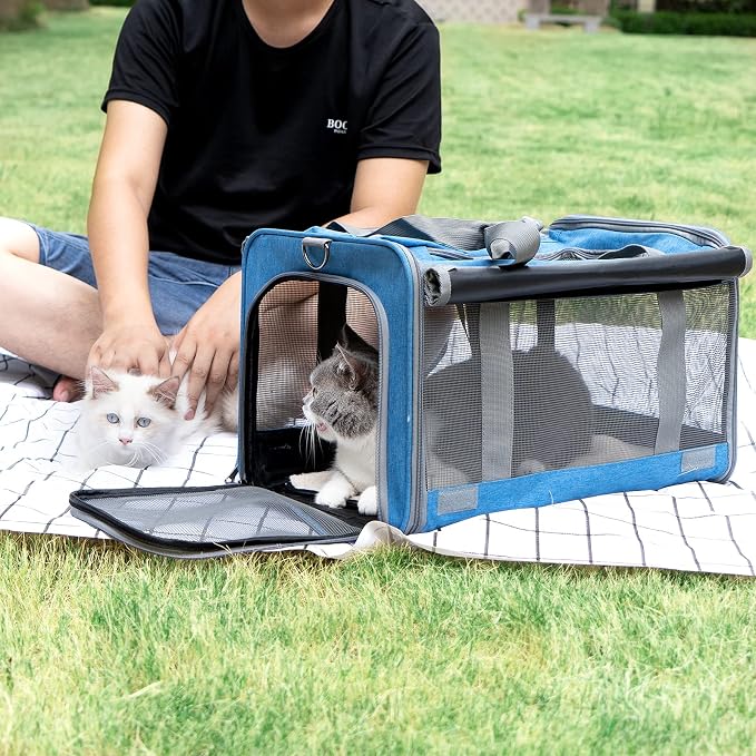 GAPZER Pet Carrier for Large and Medium Cat, Soft-Sided Pet Crate for Puppy | Dog Collapsible Travel Kennel Bag Privacy Protection, Big Kitty 20 pounds Carrying Cage Portable Home Outdoor Taxi Carseat - Image 7