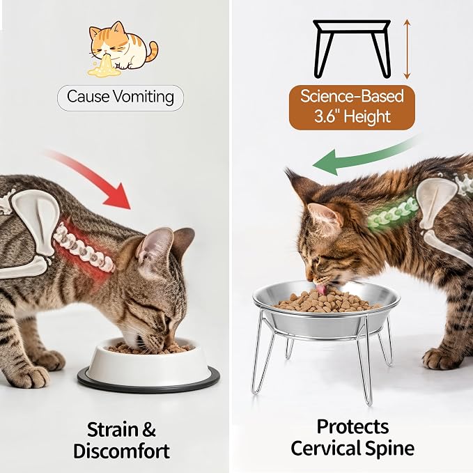 WROSWT Elevated Cat Bowls, 304 Stainless Steel Raised Cat Dishes with Stands, Wide Shallow Anti-Vomiting Kitten Feeder for Whisker Fatigue Relief, Food and Water Bowls Set for Indoor Kitten, 2 Set - Image 3