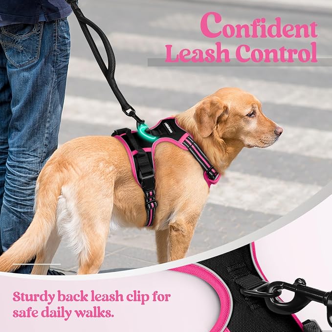 rabbitgoo Dog Harness, No Pull for Large Dogs with 2 Leash Clips, Pet Vest | No Choke with Handle, Adjustable Soft Padded, Reflective, Easy Control for Walking, Black & Hot Pink, X-Large - Image 6