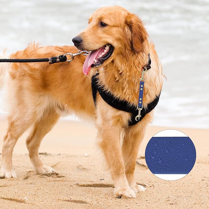 PetBonus Dog Collar Safety Clip, Waterproof Backup Safety Strap | Prong Collar to Harness Connector, Escape Proof, Odor Proof, Easy to Clean, Double Ended Clasp for Training Walking, Blue - Image 3