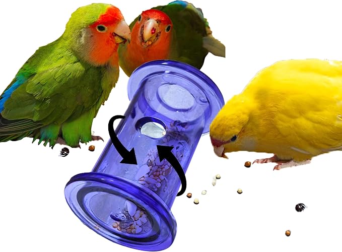 Bird Foraging Toys,Interactive Parrot Training Puzzle & Treat Dispenser, Durable Plastic Enrichment Toys for Cockatiels, Conures, Parakeets, Budgies(Pack4) by Unknown