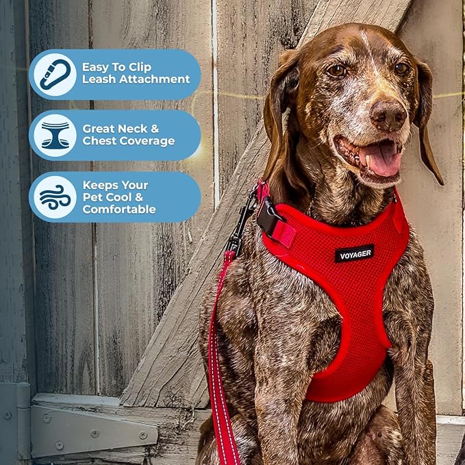 Voyager Step-in Lock Dog Harness - Red, X-Large | 23 - 28" in Chest, Adjustable, Breathable Air Mesh, Lightweight for Daily Walks, Strong Clips, Heavy Duty D-Ring - Image 3