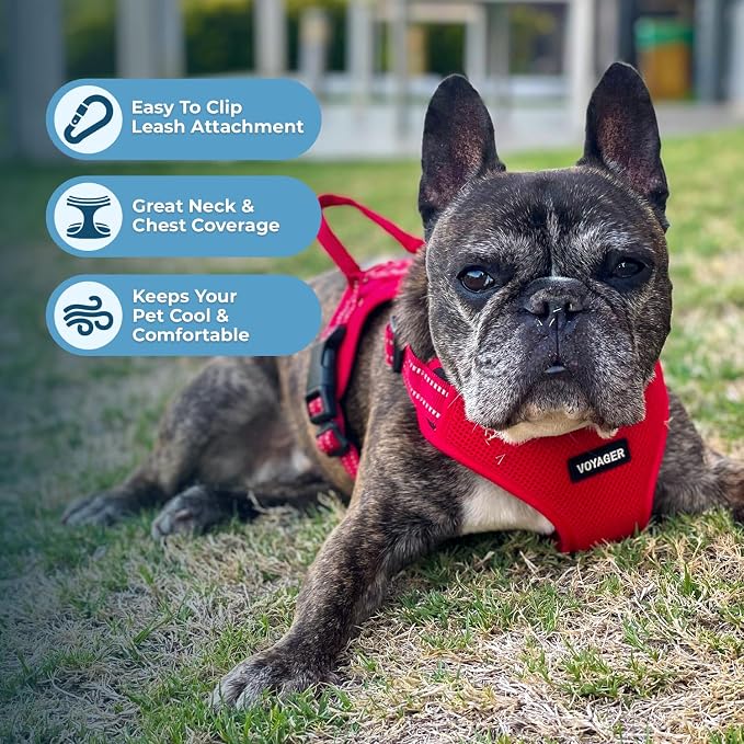 Voyager Step-in Flex Adjustable Dog Harness - Red, Medium | 17 - 21" in Chest, Fully Adjustable, Reflective Bands, All Weather Breathable Air Mesh, Lightweight, Fast Drying - Image 5