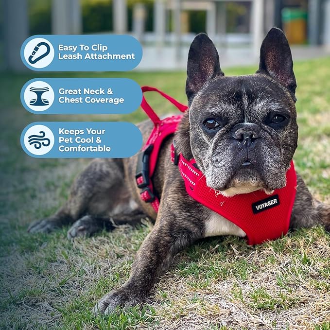 Voyager Step-in Flex Adjustable Dog Harness - Red, Small | 15 - 18" in Chest, Fully Adjustable, Reflective Bands, All Weather Breathable Air Mesh, Lightweight, Fast Drying - Image 5
