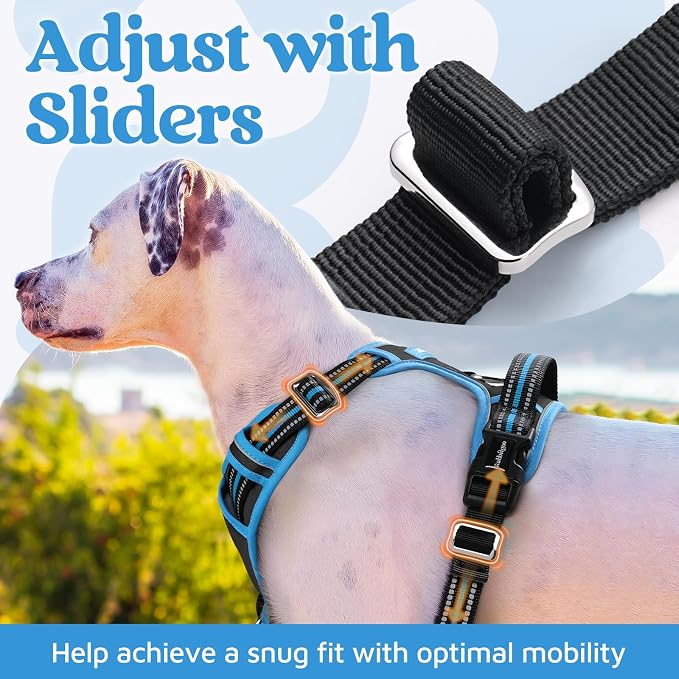 rabbitgoo Dog Harness Medium Sized, No Pull 3 Buckles Easy On & Off | Soft Padded, Walking with Control Handle, Adjustable and Reflective, Black & Blue, Medium - Image 5