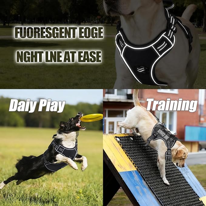 3-in-1 Dog Vest Harness Leash Set for Daily,Service,Training Animal Medium - Image 7
